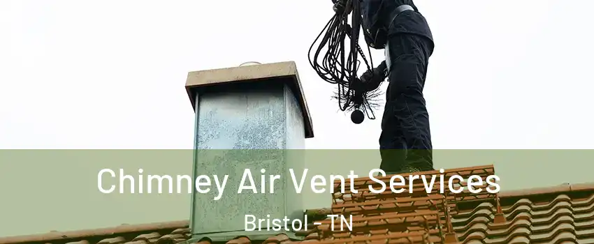  Chimney Air Vent Services Bristol - TN