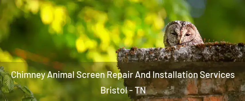  Chimney Animal Screen Repair And Installation Services Bristol - TN