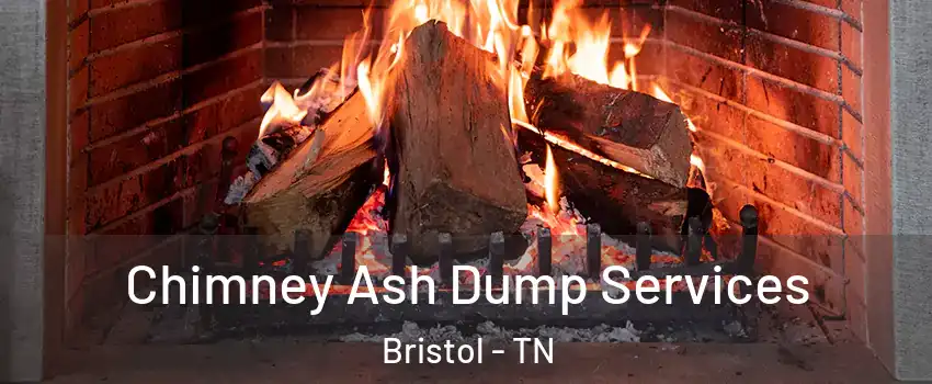  Chimney Ash Dump Services Bristol - TN
