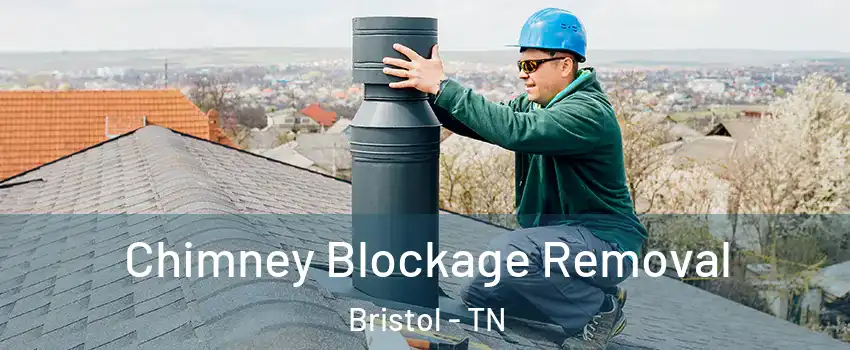  Chimney Blockage Removal Bristol - TN
