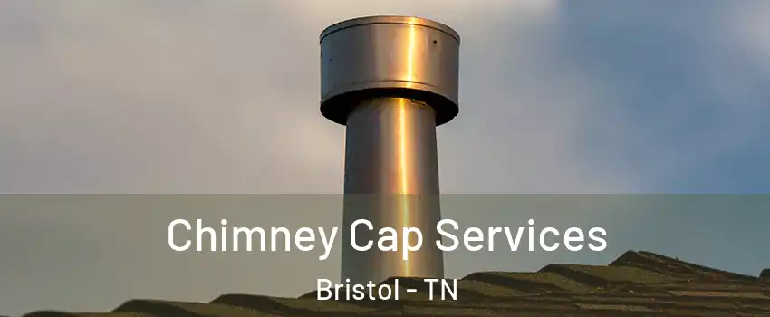  Chimney Cap Services Bristol - TN