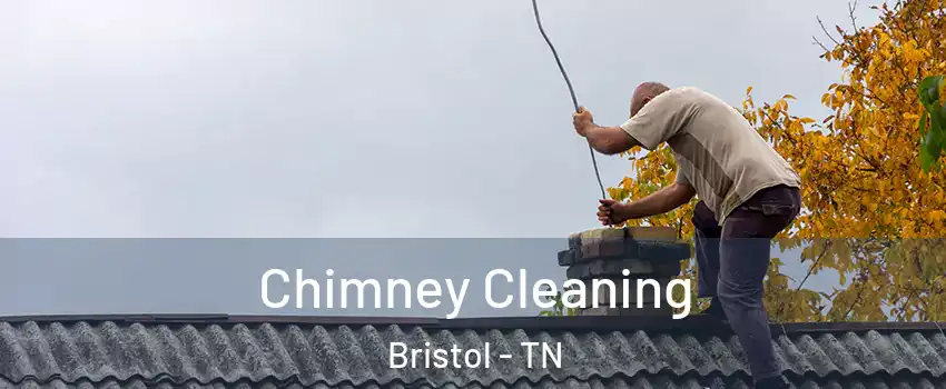  Chimney Cleaning Bristol - TN