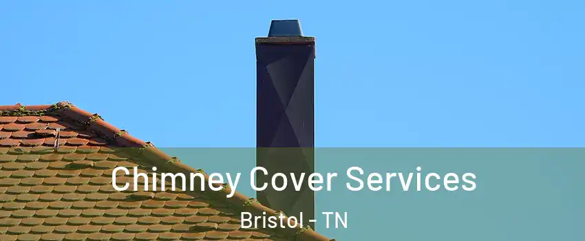  Chimney Cover Services Bristol - TN