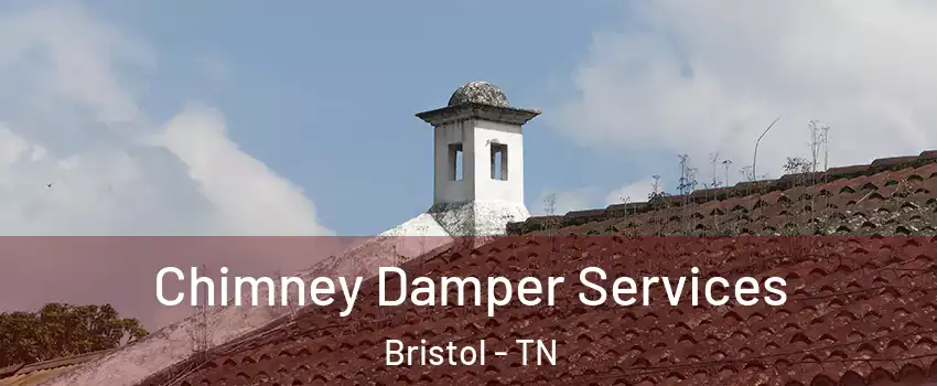  Chimney Damper Services Bristol - TN