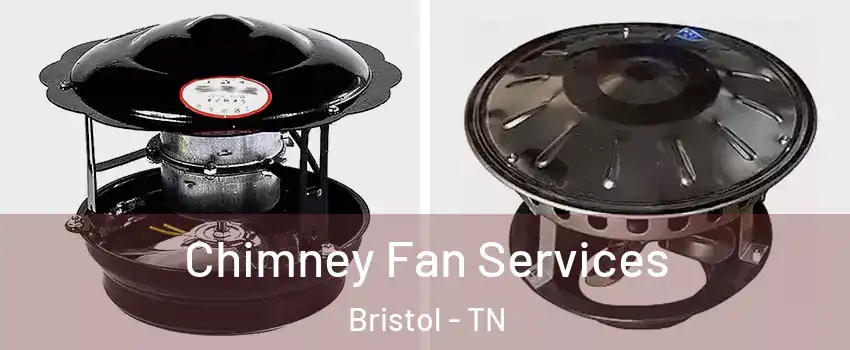  Chimney Fan Services Bristol - TN