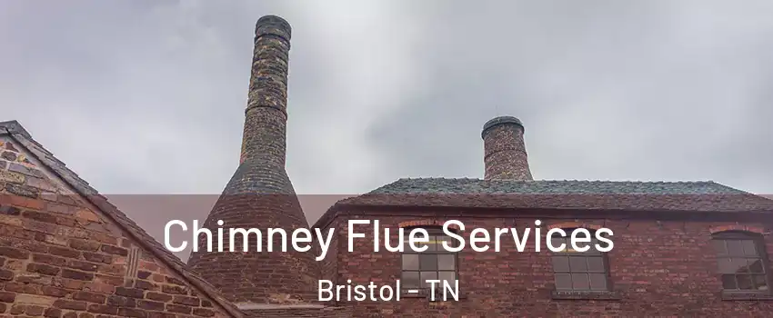  Chimney Flue Services Bristol - TN