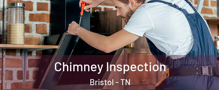  Chimney Inspection Bristol - TN