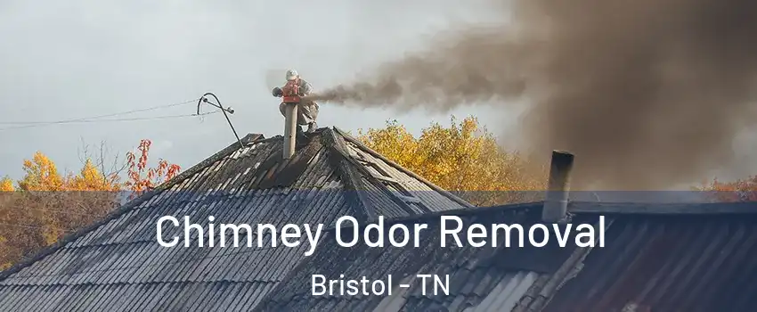  Chimney Odor Removal Bristol - TN