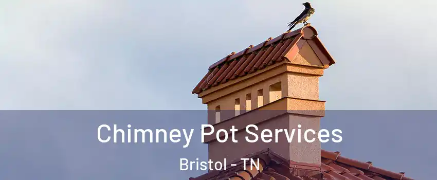  Chimney Pot Services Bristol - TN