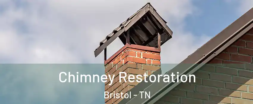  Chimney Restoration Bristol - TN