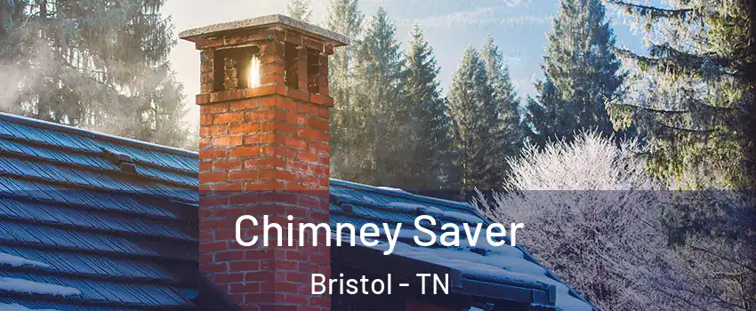  Chimney Saver Bristol - TN