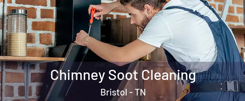  Chimney Soot Cleaning Bristol - TN