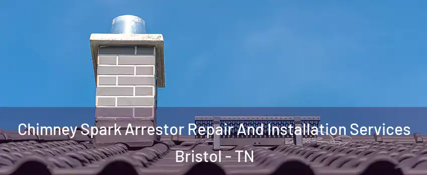  Chimney Spark Arrestor Repair And Installation Services Bristol - TN