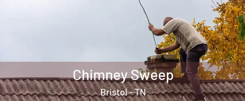  Chimney Sweep Bristol - TN