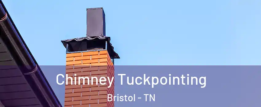  Chimney Tuckpointing Bristol - TN