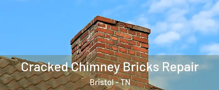  Cracked Chimney Bricks Repair Bristol - TN