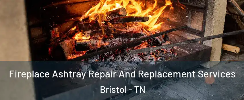  Fireplace Ashtray Repair And Replacement Services Bristol - TN