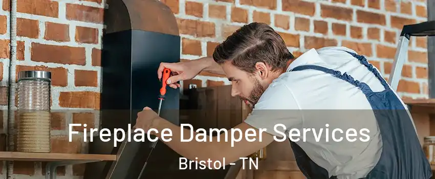  Fireplace Damper Services Bristol - TN