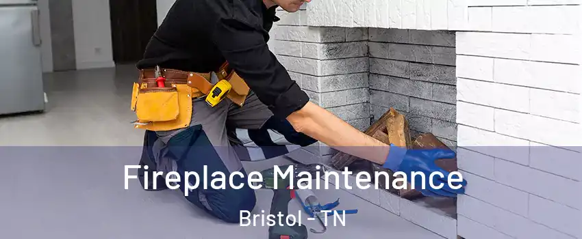  Fireplace Maintenance Bristol - TN