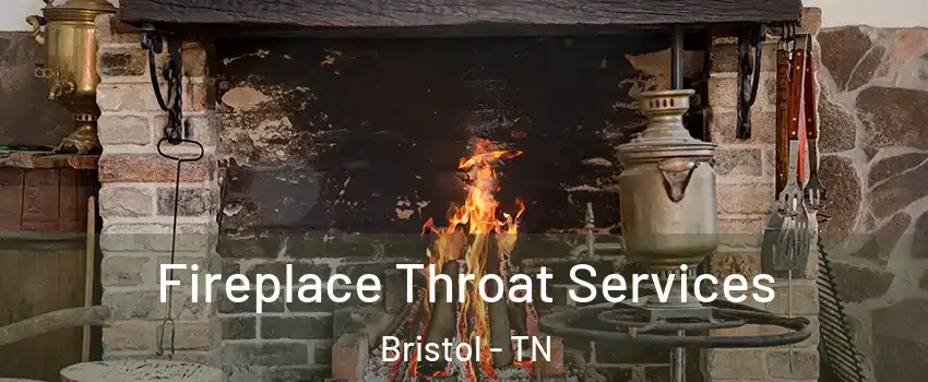  Fireplace Throat Services Bristol - TN