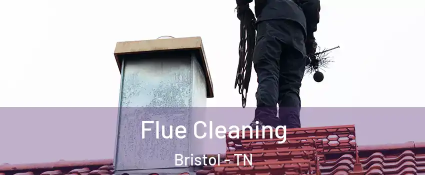  Flue Cleaning Bristol - TN