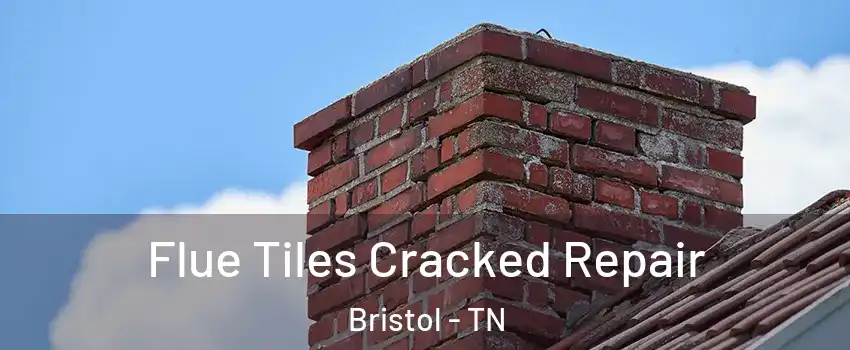  Flue Tiles Cracked Repair Bristol - TN