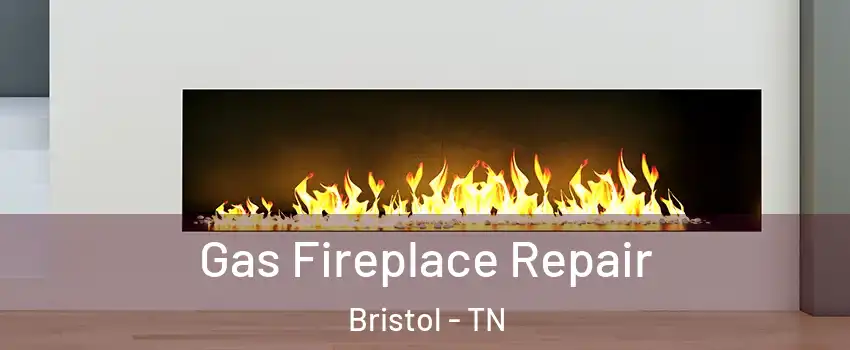  Gas Fireplace Repair Bristol - TN