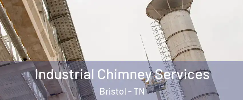  Industrial Chimney Services Bristol - TN