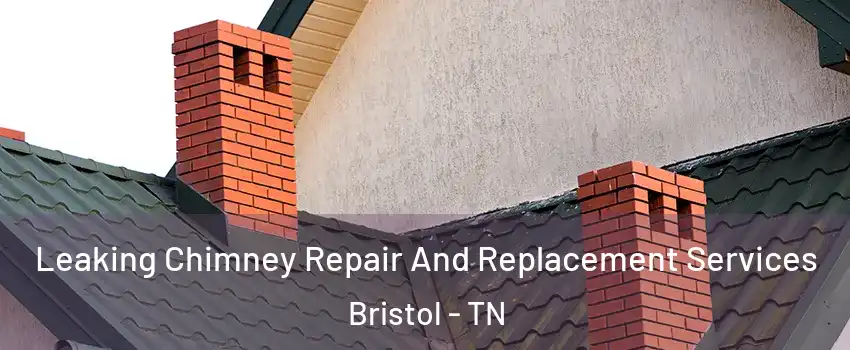  Leaking Chimney Repair And Replacement Services Bristol - TN