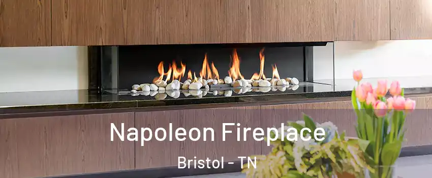  Napoleon Fireplace Bristol - TN